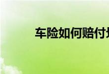 车险如何赔付划算 车险怎样赔付