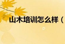 山木培训怎么样（山木电脑培训多少钱）