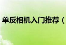 单反相机入门推荐（这几款更适合新手小白）