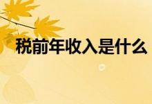 税前年收入是什么 税前年收入是什么意思