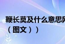 鞭长莫及什么意思网络语（鞭长莫及什么意思（图文））