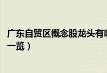 广东自贸区概念股龙头有哪些（2022年广东自贸区板块股票一览）