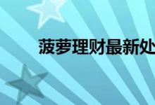 菠萝理财最新处理结果（菠萝理财）