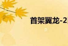 首架翼龙-2民用无人机下线