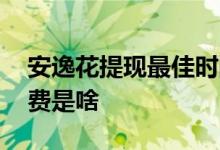 安逸花提现最佳时间段 安逸花超次提款手续费是啥