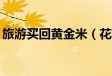 旅游买回黄金米（花28元买黄金米却是假的）