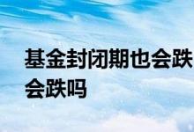 基金封闭期也会跌吗 新成立的基金在封闭期会跌吗