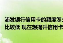 浦发银行信用卡的额度怎么提高 办理的浦发银行信用卡额度比较低 现在想提升信用卡额度 应该怎么做