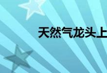 天然气龙头上市公司有哪些（）
