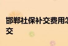 邯郸社保补交费用怎么计算，社保断了能否补交
