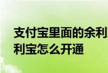 支付宝里面的余利宝怎么开通 支付宝里的余利宝怎么开通