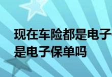 现在车险都是电子保单怎么车检 现在车险都是电子保单吗