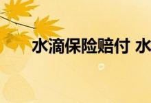 水滴保险赔付 水滴保不理赔这怎么办