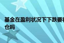 基金在盈利状况下下跌要补仓吗 基金在盈利状况下下跌要补仓吗