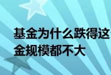 基金为什么跌得这么厉害 为什么涨得好的基金规模都不大