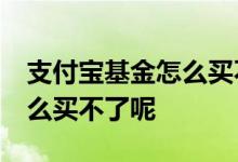 支付宝基金怎么买不了了 支付宝reist基金怎么买不了呢