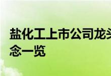 盐化工上市公司龙头有哪些盐化工上市公司概念一览