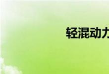  轻混动力是什么意思 