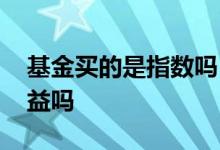 基金买的是指数吗 购买指数基金可以看到收益吗