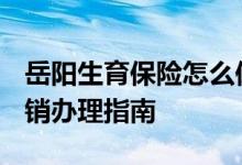 岳阳生育保险怎么保险的 2022年岳阳生育报销办理指南 