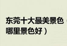 东莞十大最美景色（东莞风景最美的地方东莞哪里景色好）