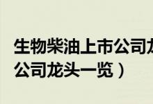 生物柴油上市公司龙头有哪些（生物柴油上市公司龙头一览）