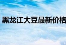黑龙江大豆最新价格表（收购价多少钱一斤）