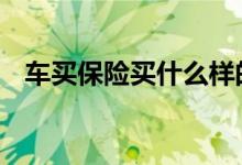 车买保险买什么样的 车买保险买什么样的