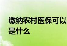 缴纳农村医保可以享受特病待遇吗 申报流程是什么 
