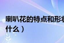 喇叭花的特点和形状（喇叭花的特点和样子是什么）