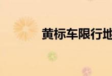  黄标车限行地图 黄标车限行吗 