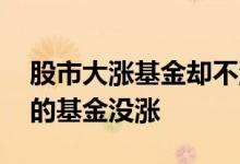 股市大涨基金却不涨 为什么别人都在大涨我的基金没涨
