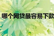 哪个网贷最容易下款（网贷那个好容易下款）
