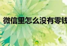 微信里怎么没有零钱通 微信怎么没有零钱通
