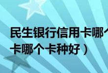 民生银行信用卡哪个卡种好批（民生银行信用卡哪个卡种好）