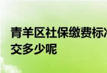 青羊区社保缴费标准 2022年青羊区社保个人交多少呢 
