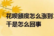 花呗额度怎么涨到1万 花呗额度从1万变成几千是怎么回事