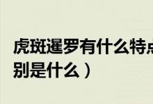 虎斑暹罗有什么特点（虎斑暹罗和暹罗猫的区别是什么）