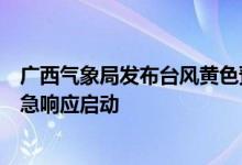 广西气象局发布台风黄色预警重大气象灾害（台风）Ⅲ级应急响应启动