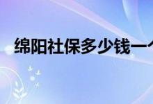 绵阳社保多少钱一个月 2022绵阳社保费用表 