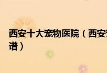 西安十大宠物医院（西安宠物医院排名西安动物医院哪个靠谱）