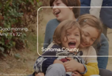 谷歌电视环境模式发现个性化卡片用于新闻等