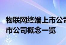 物联网终端上市公司龙头有哪些物联网终端上市公司概念一览