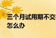 三个月试用期不交社保可以吗 公司不交社保怎么办 