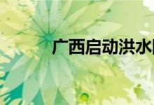 广西启动洪水防御Ⅳ级应急响应