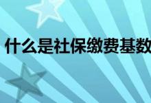 什么是社保缴费基数 社保缴费基数怎么查询 