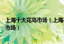 上海十大花鸟市场（上海花鸟市场地址大全上海哪里有花鸟市场）
