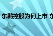 东鹏控股为何上市 东鹏控股上市时间是什么 