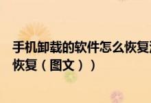 手机卸载的软件怎么恢复没有安装包（手机卸载的软件怎么恢复（图文））