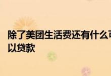 除了美团生活费还有什么可以贷款 除了美团京东还有哪些可以贷款